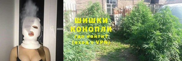 сатива Заволжск