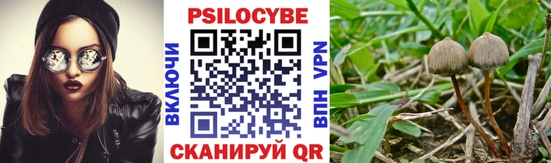 Галлюциногенные грибы GOLDEN TEACHER  Купить закладки  Осинники 